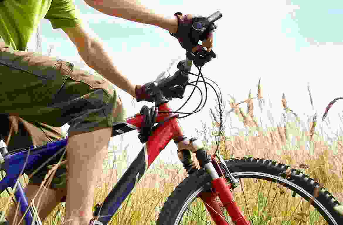 Elite Rider